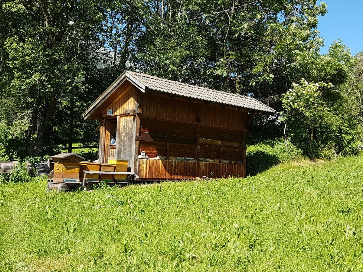 Apartments Nature Apis Landheim Anterselva di Mezzo Buitenkant foto